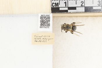 Media type: image;   Entomology 773171 Aspect: Labels